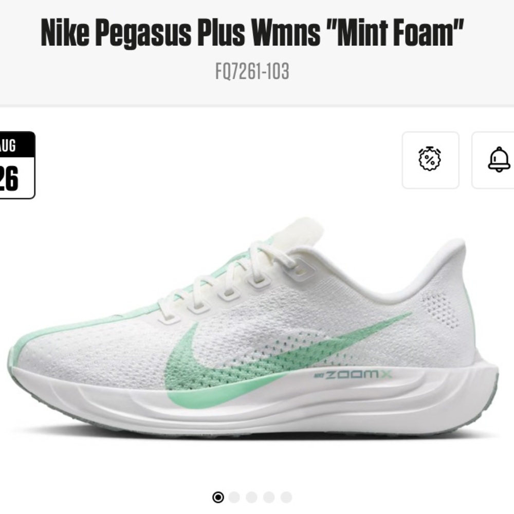 Nike Pegasus Plus Women's Road Running Shoes “Mint Foam”